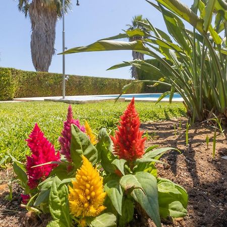 Villa Lujo Olivanova Golf Met エクステリア 写真